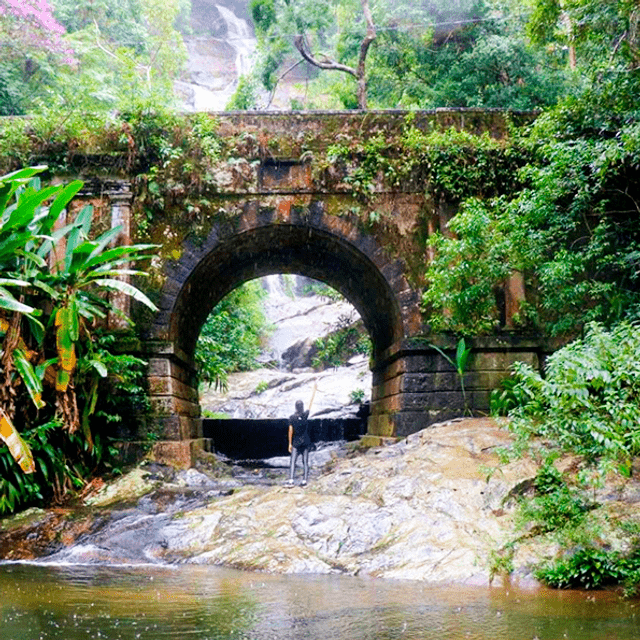 tour floresta da tijuca